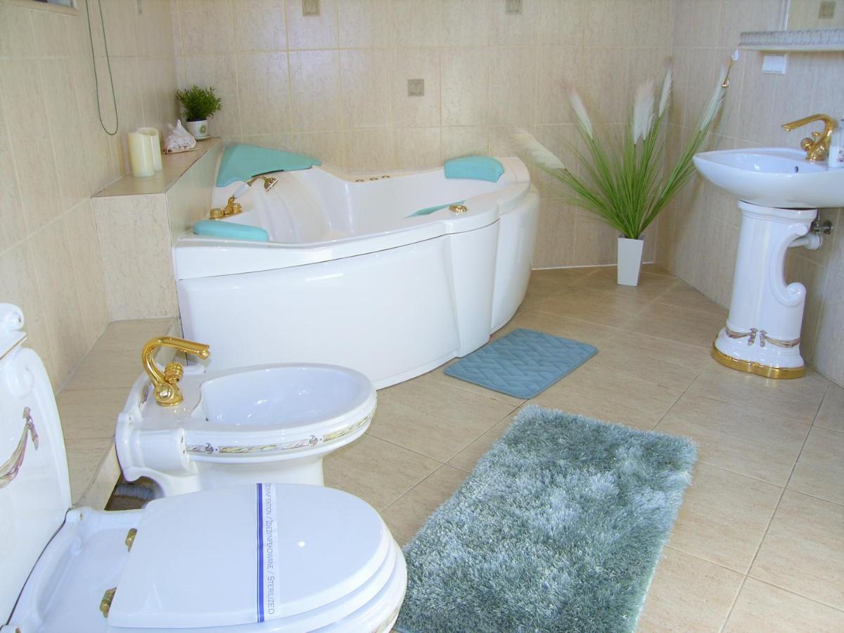 Kaliny Apartamenty Wanny Z Hydromasazem Chorzów Εξωτερικό φωτογραφία