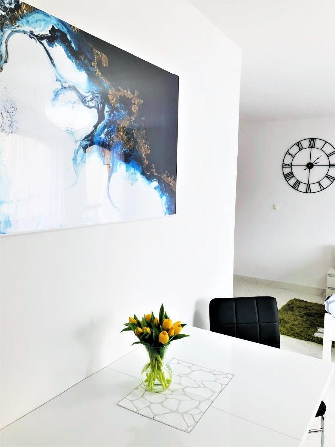 Kaliny Apartamenty Wanny Z Hydromasazem Chorzów Εξωτερικό φωτογραφία