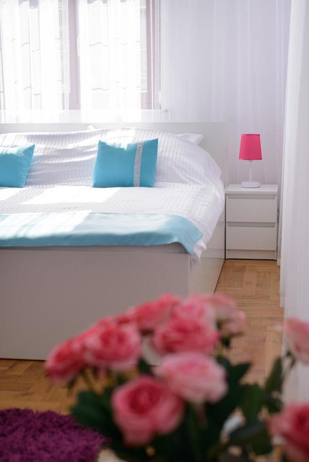 Kaliny Apartamenty Wanny Z Hydromasazem Chorzów Εξωτερικό φωτογραφία